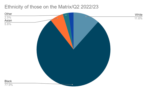Ethnicity of those on the matrix, Q2 2022/23