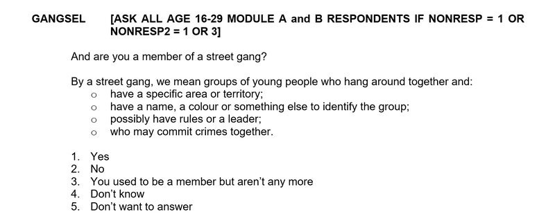 What is a 'street gang'?