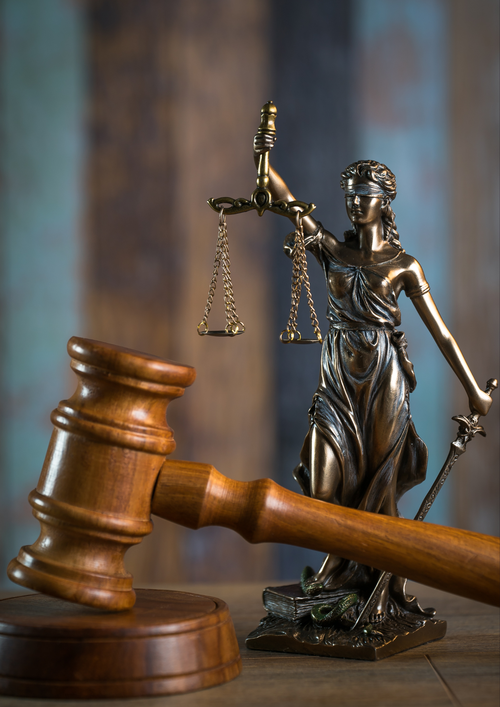 no reasonable grounds image