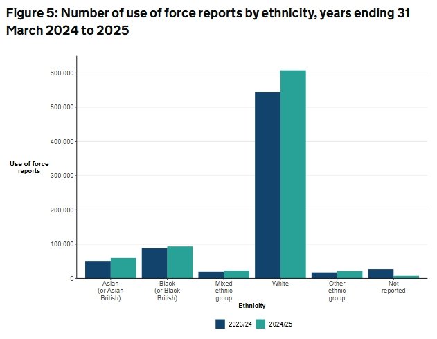 Use of force by ethnicity, 2024 to 2025